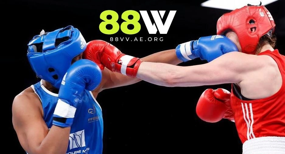 Tổng quan về Cá cược quyền anh